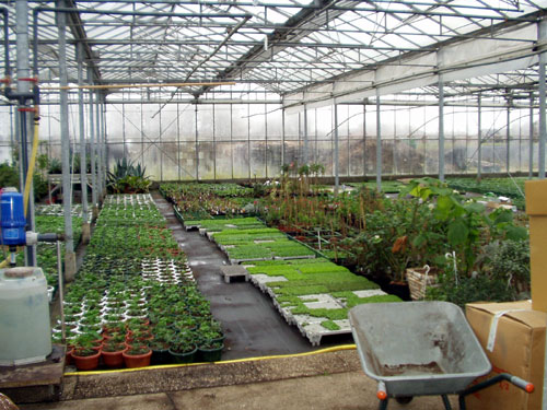 opkweek, 25 maart 2008