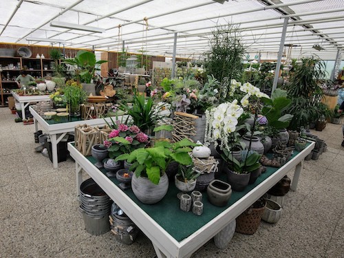 Plantentafel lente 2019, 6 juli 2018