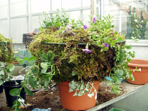 workshop-hanging-baskets2-1, 3 december 2010