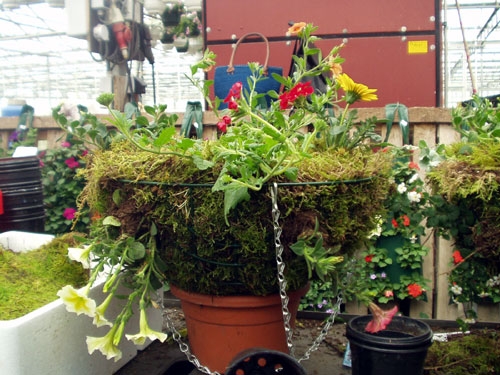 workshop-hanging-baskets3-1, 3 december 2010